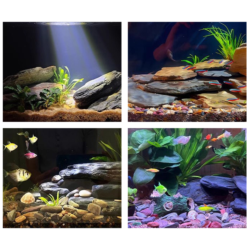 500/1000g Fish Tank Landscape  - Aquarium Marine Tank ulasan dan harga