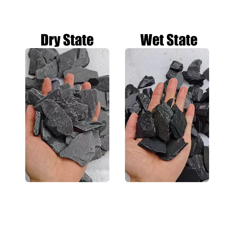 500/1000g Fish Tank Landscape  - Aquarium Marine Tank ulasan dan harga