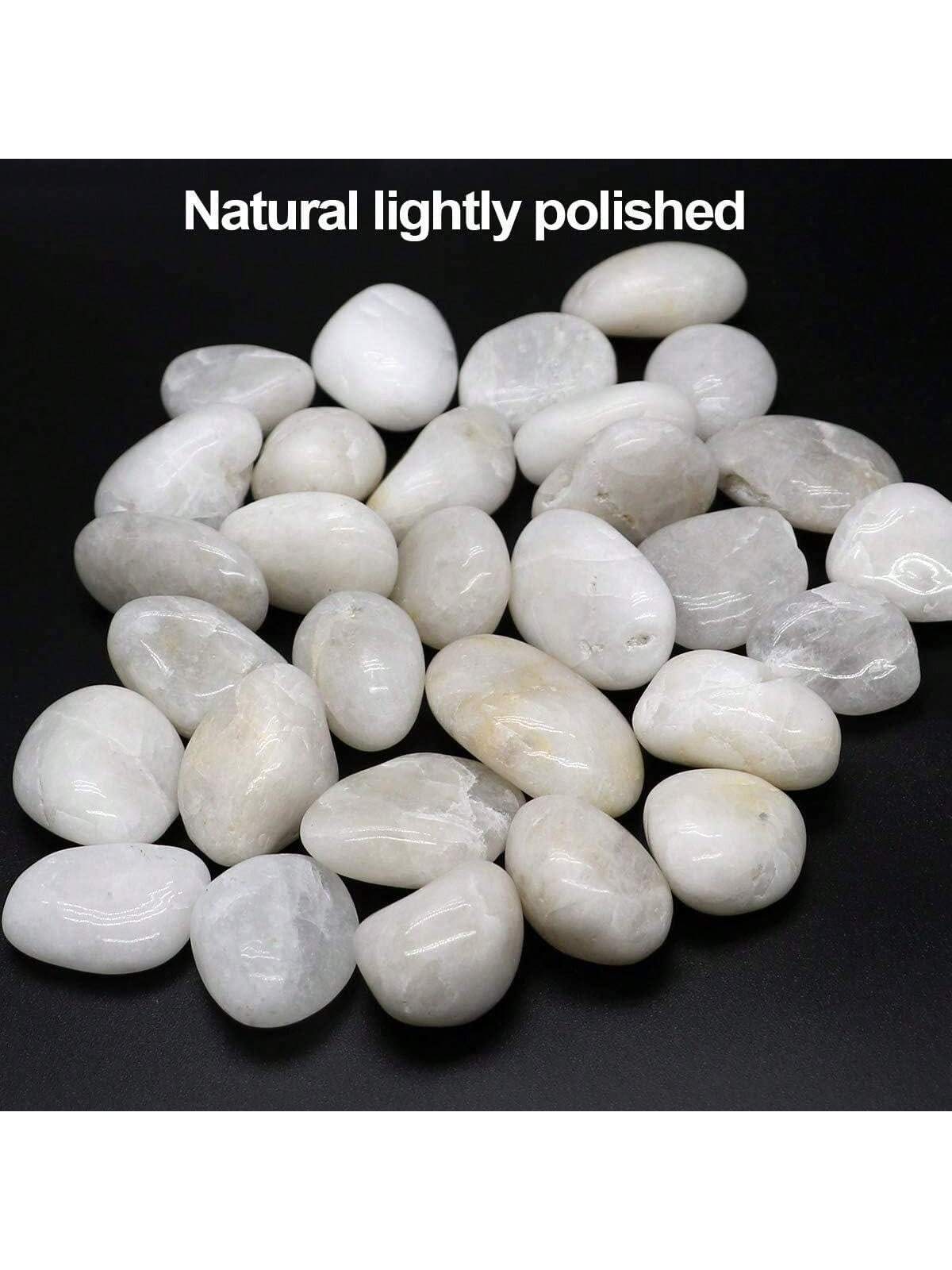 River Rocks Decorative Ornamen - Aquarium Marine Tank ulasan dan harga