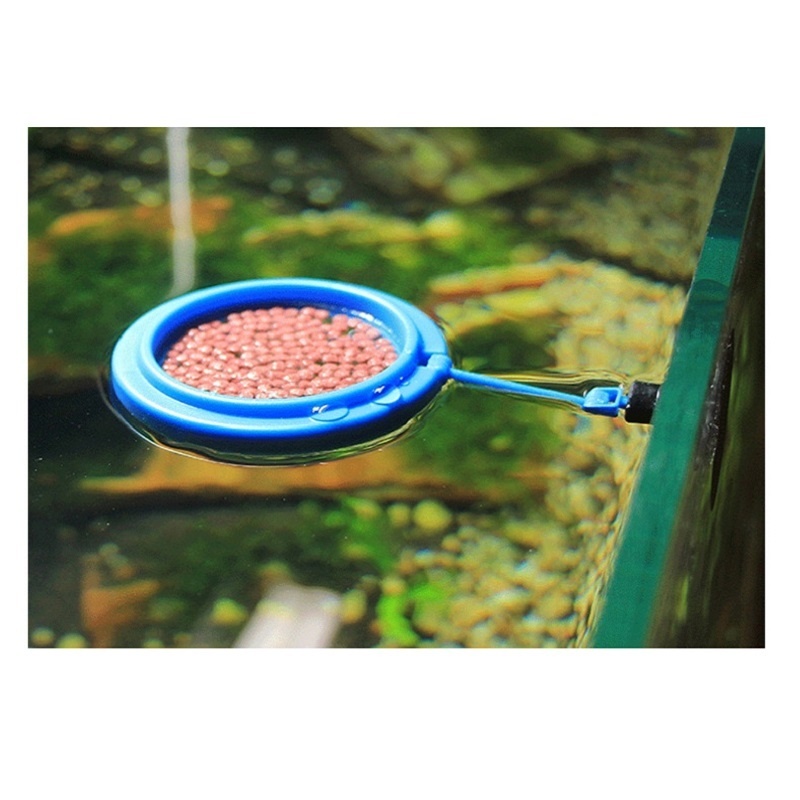 Fish Feeding Ring Feeder Fishi - Tetra Food Tropical Flakes ulasan dan harga