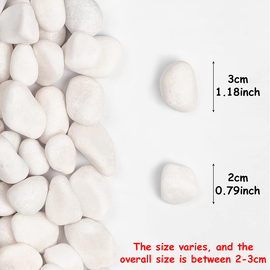 200/400g White High Polished N - Aquarium Marine Tank ulasan dan harga