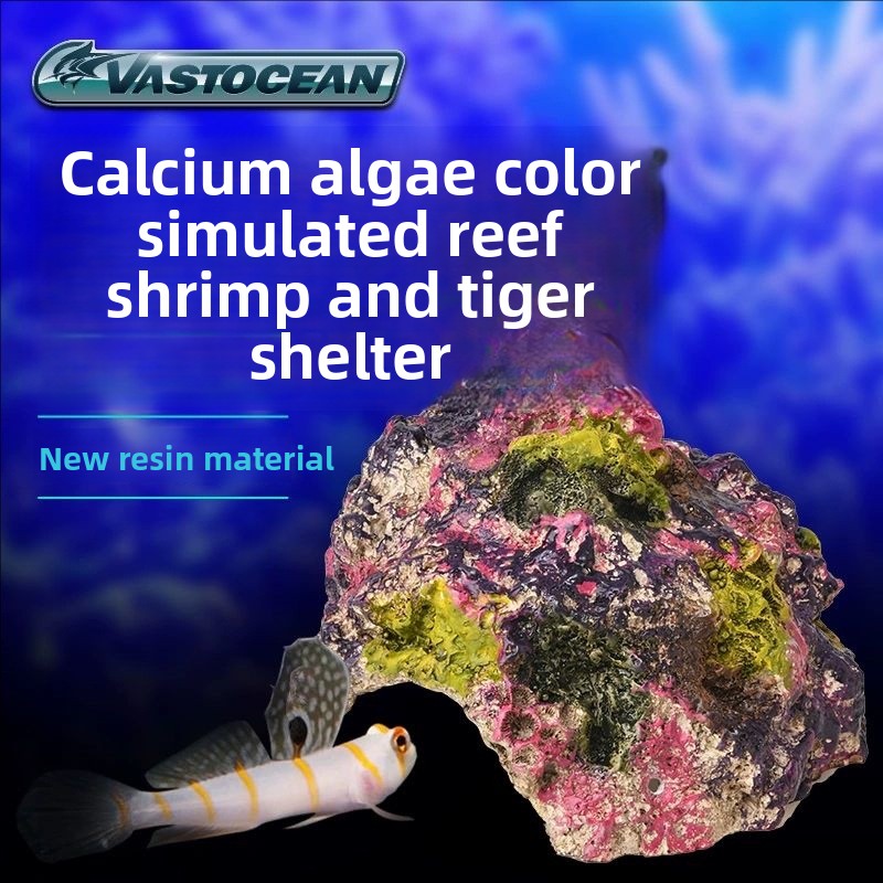 VASTOCEAN Saltwater Aquarium C - Marine Aquarium Hermit Crab ulasan dan harga
