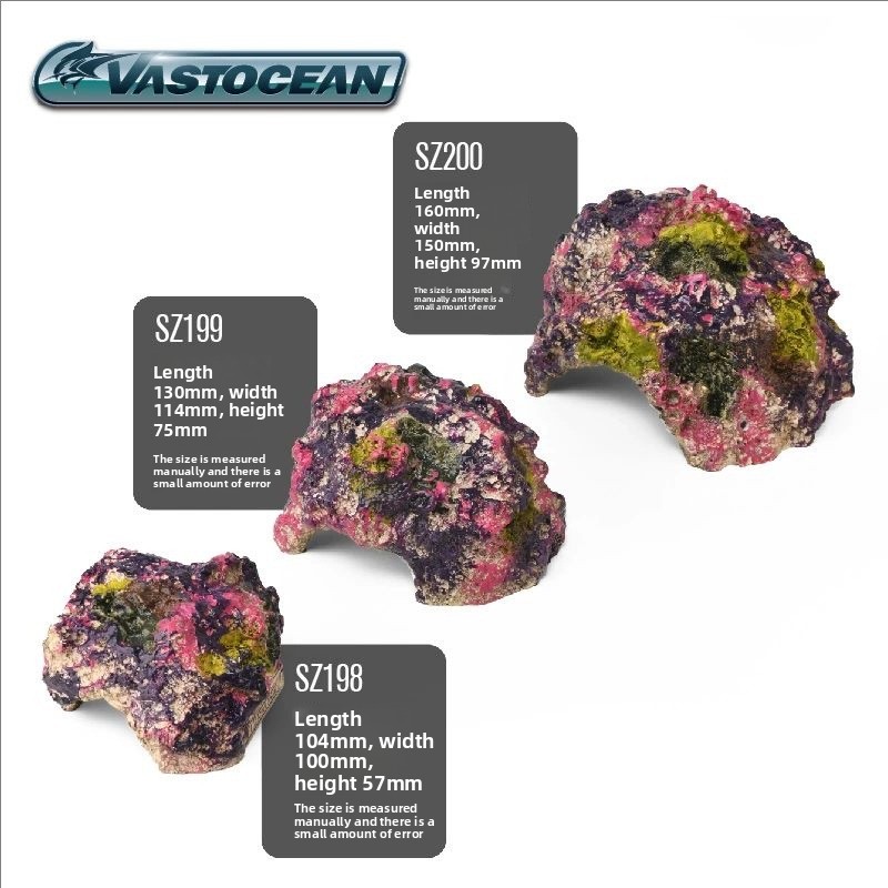 VASTOCEAN Saltwater Aquarium C - Marine Aquarium Hermit Crab ulasan dan harga