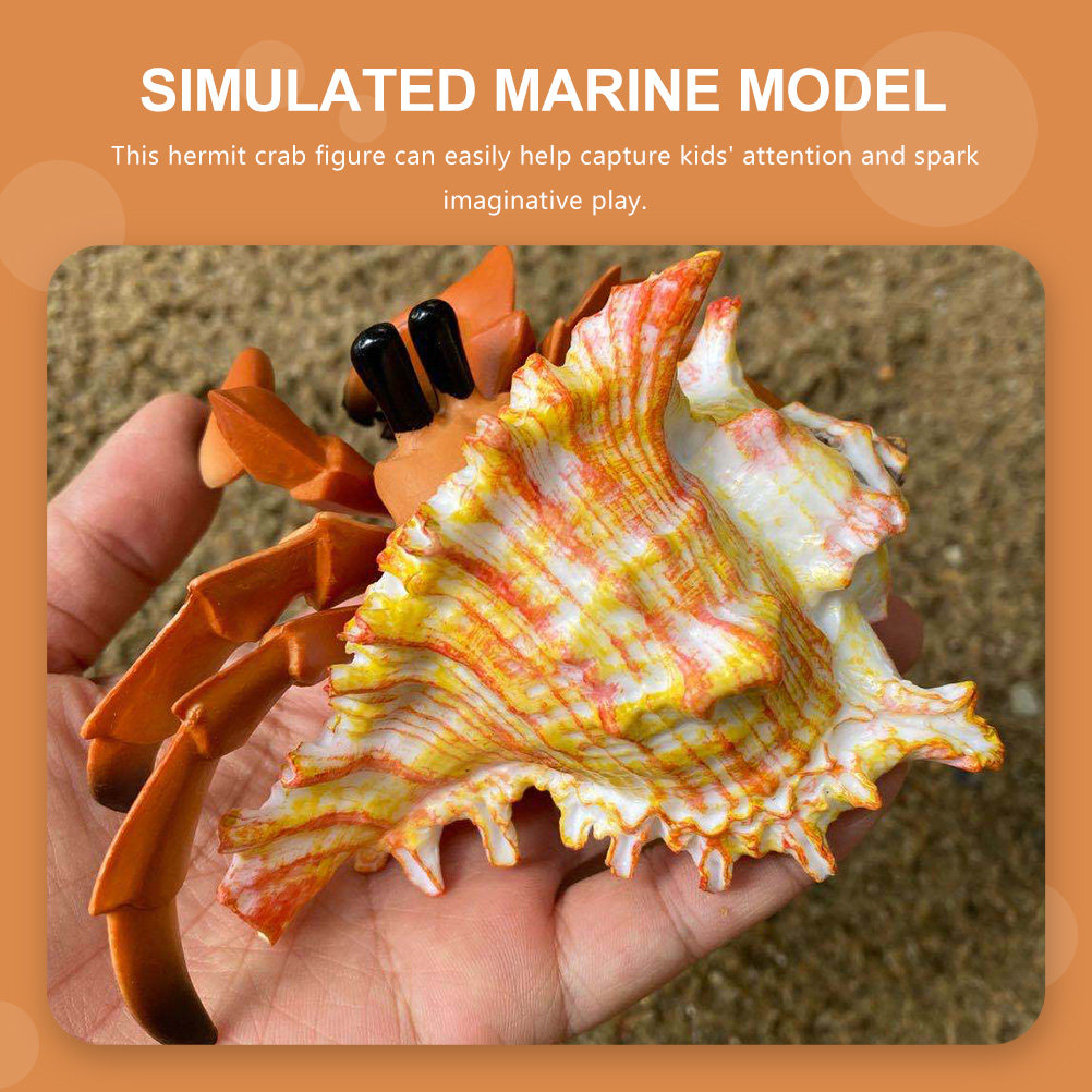 Simulation Hermit Crab Paguria - Marine Aquarium Hermit Crab ulasan dan harga