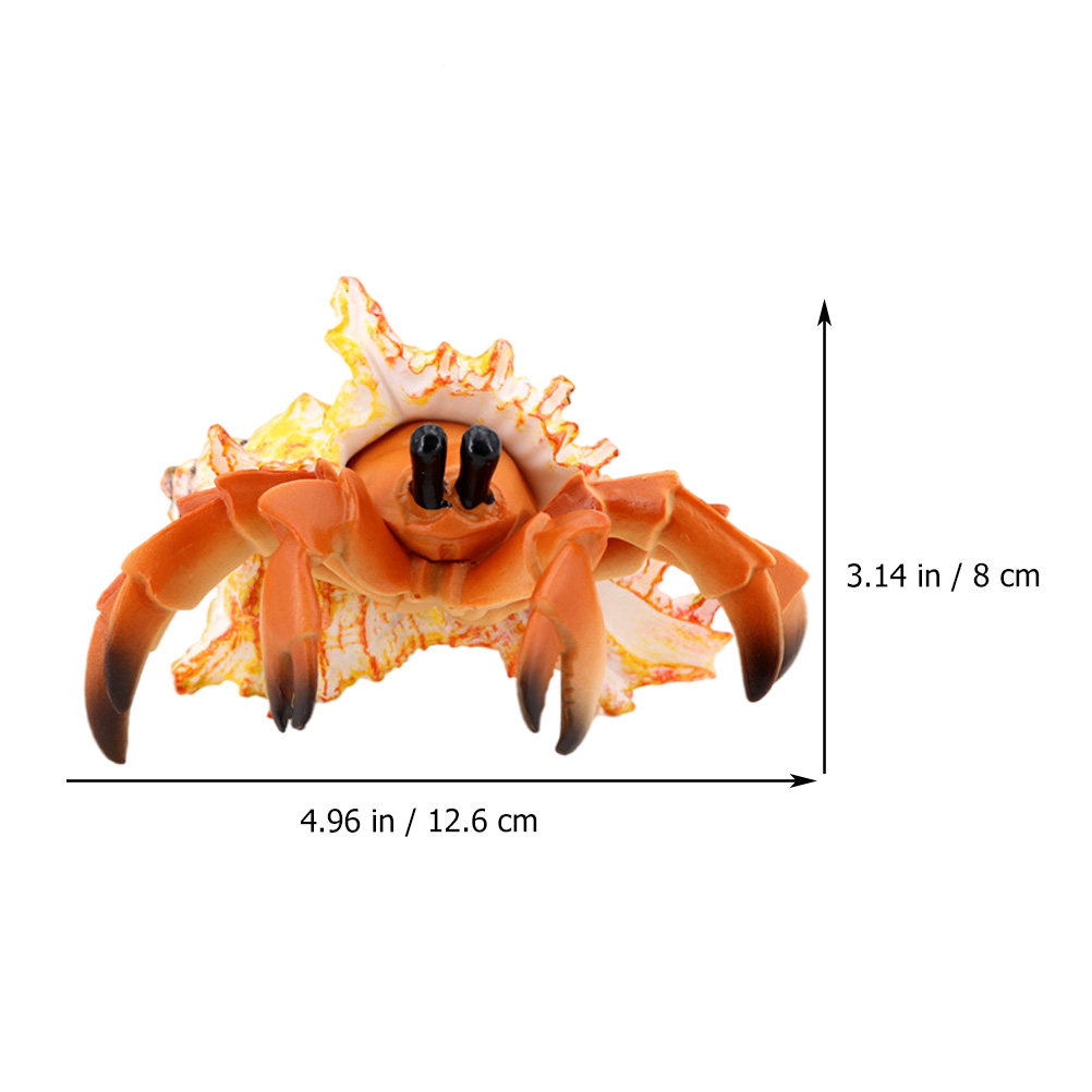 Simulation Hermit Crab Paguria - Marine Aquarium Hermit Crab ulasan dan harga
