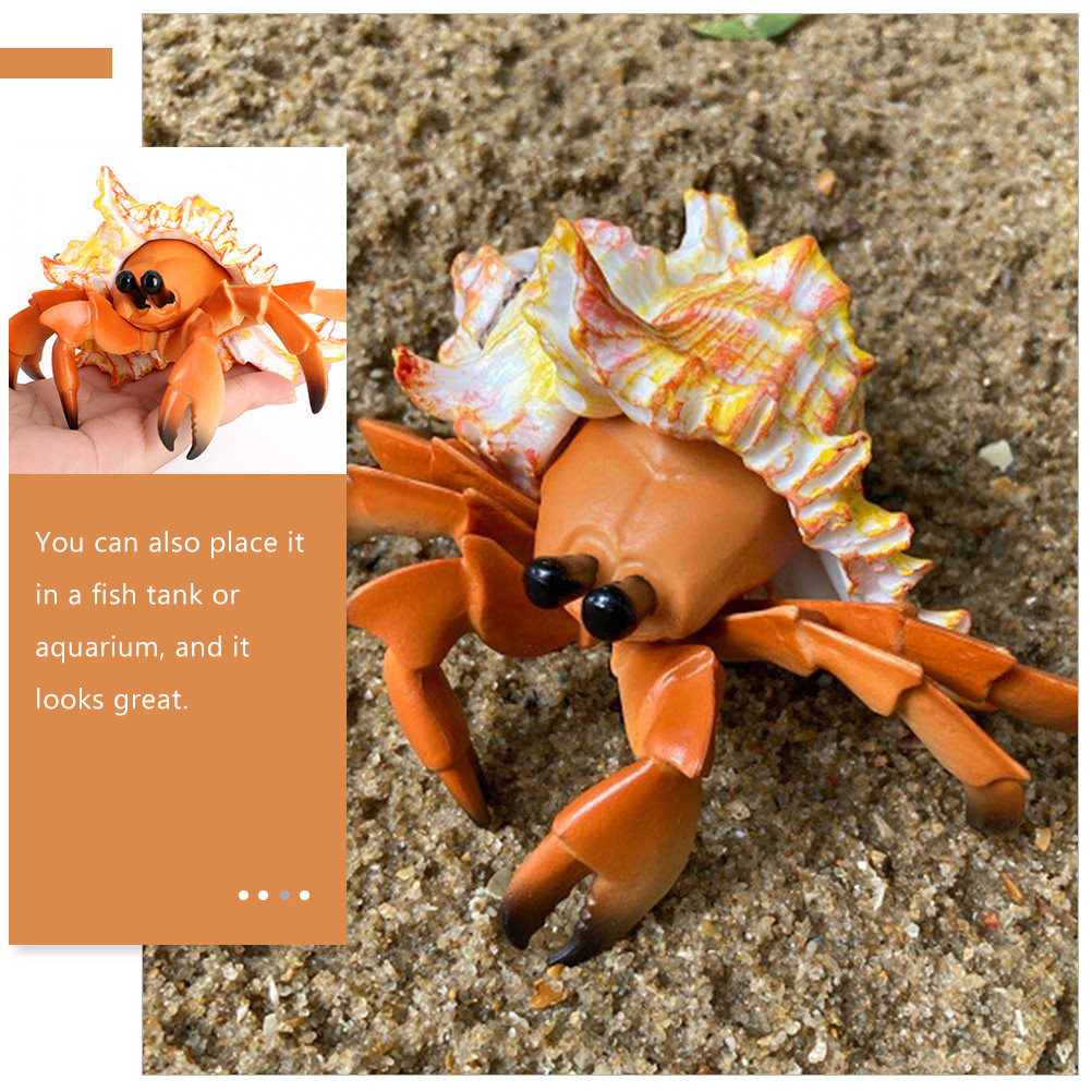 Simulation Hermit Crab Paguria - Marine Aquarium Hermit Crab ulasan dan harga