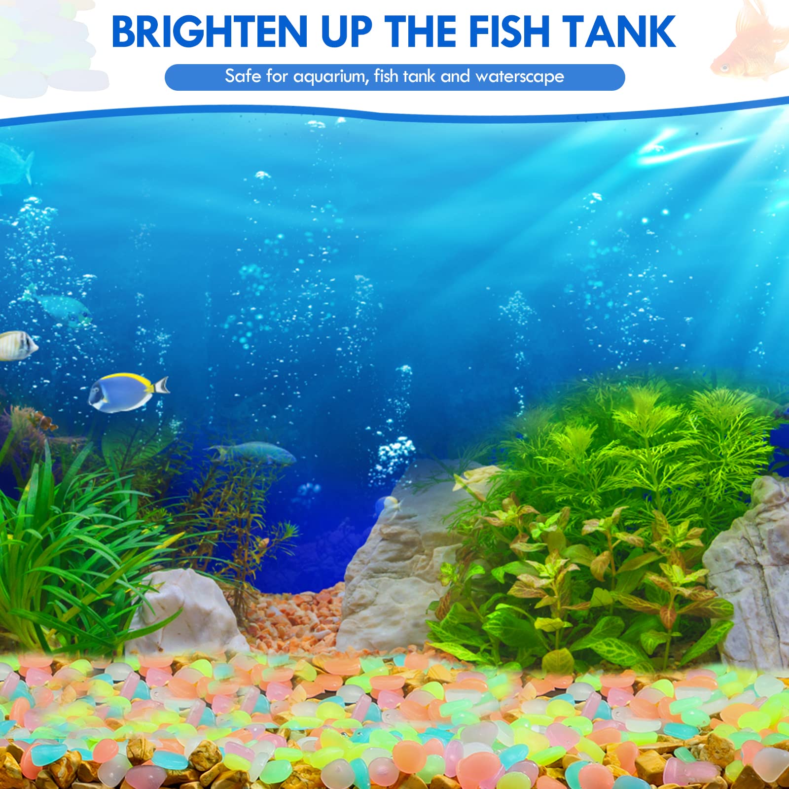 100Pcs Glow in the Dark Garden - Aquarium Marine Tank ulasan dan harga
