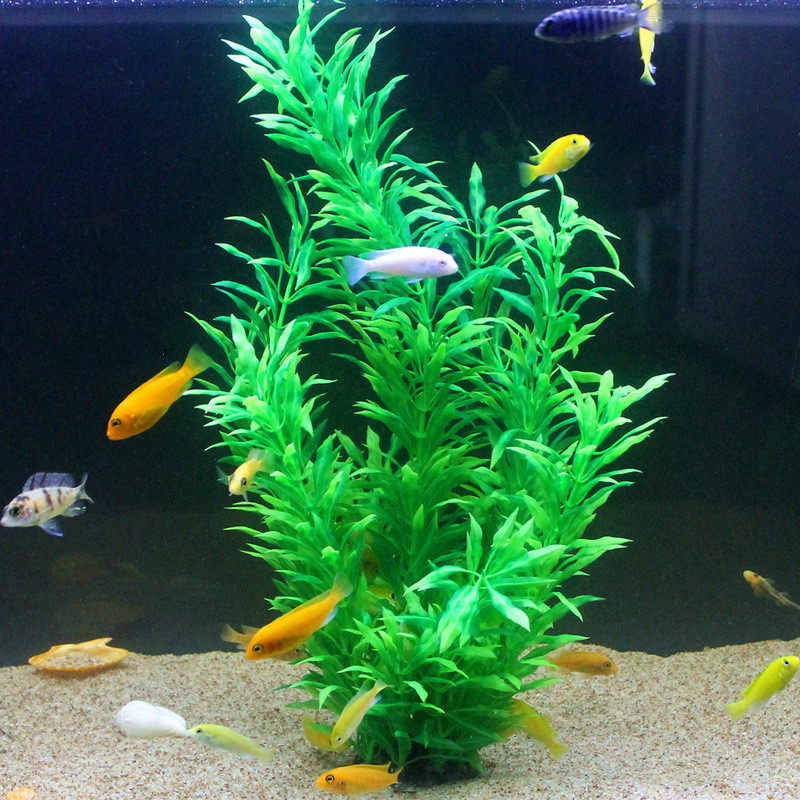50CM Artificial Fish Tank Rare - Aquarium Marine Tank ulasan dan harga