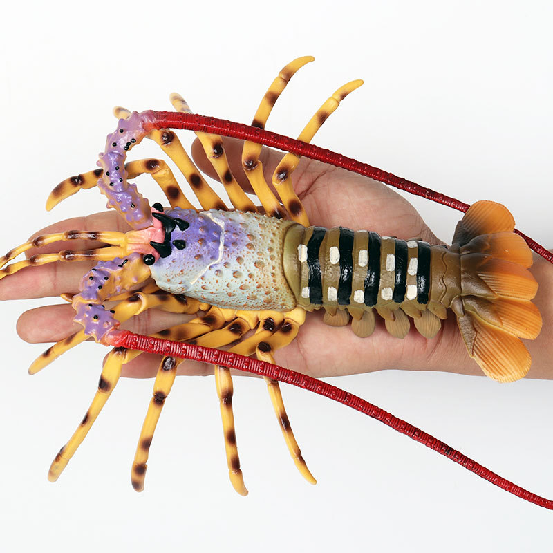 Realistic Marine Life Figurine - Marine Aquarium Hermit Crab ulasan dan harga